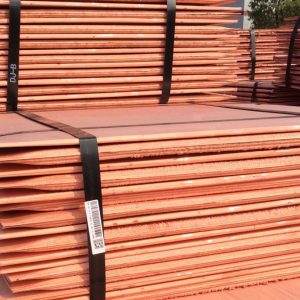 portline-katot-1024x684